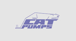 CAT PUMPS